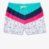 The Aquatic Libations 4" (Classic Swim Trunk)