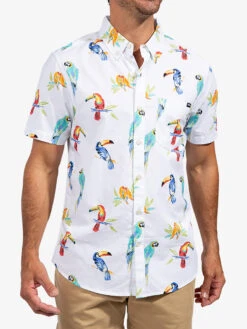 The Dude Wheres Macaw (Soft Stretch)