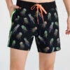 The Jelly Bellies 6" (Boardshort)