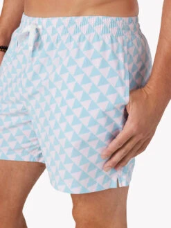 The Perfections 5.5" (Faded Classic Swim Trunk)