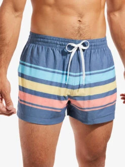 The Retro Sets 4" (Classic Swim Trunk)