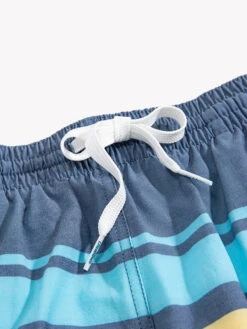 The Retro Sets 5.5" (Classic Swim Trunk) -Outlet Posh Sewn Store RETRO SETS 5.5TRETCH ZBP SD 109211 04 1581