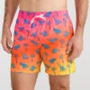 The Sunset Dinos 5.5" (Classic Swim Trunk)