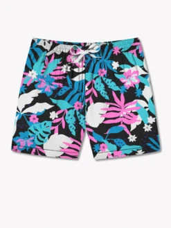 The Juices 5.5" (Classic Swim Trunk)